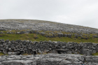 Exposures along margins of country road R477 of Dinantian Burren Limestone Formation. These Carboniferous limestons are composed of shallow water carbonates. Note the clints (limestone blocks) and grikes (joints and fractures) extensively enlarged by Pleistocene dissolution. Topography almost devoid of vegetation, though when it occurs it fills prominent grikes.